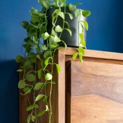 Colonne Salle De Bain TRANGLE 2 Portes -HOME24 Ventes 1000292023 230726 031 DETAILS P000000001000292023