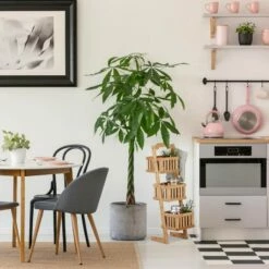 Étagère Salle De Bain Bambou 3 Paniers 10 Étagère Salle De Bain Bambou 3 Paniers -HOME24 Ventes 928f37f1964f47ec97d4c37c7d3b6db6