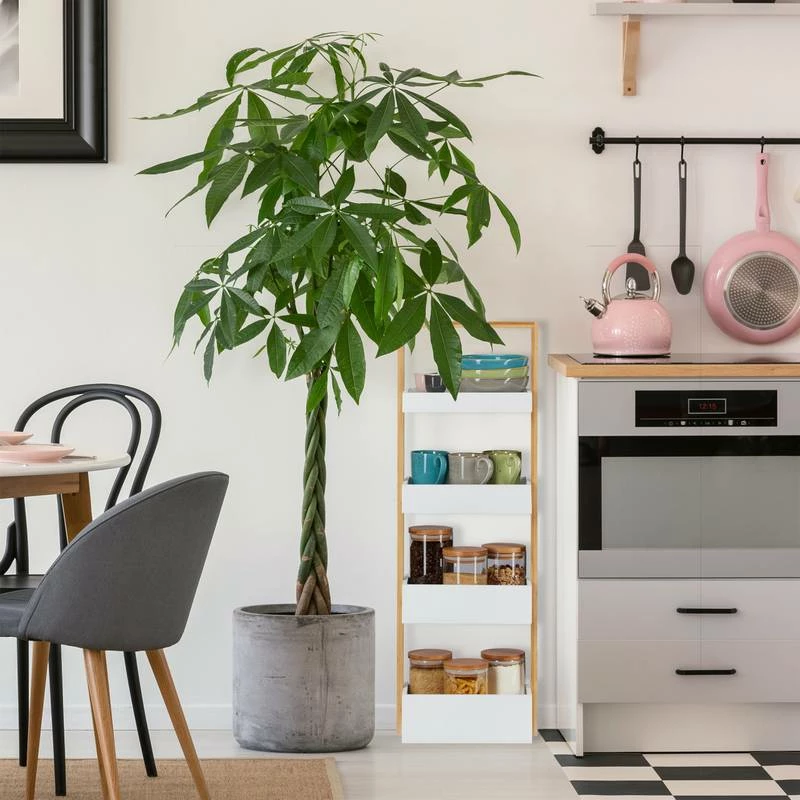 Etagère De Salle De Bain 4 Supports 5 Etagère De Salle De Bain 4 Supports – Image 3